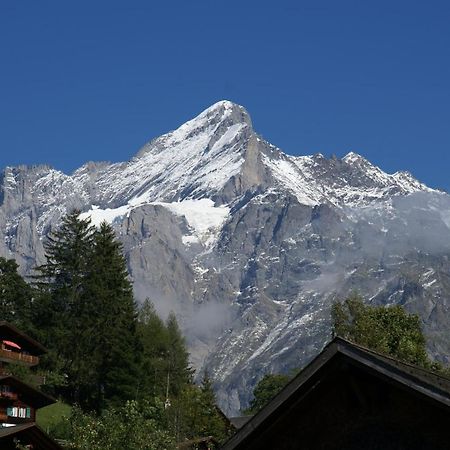 Apartment Bäreggblick - GRIWA RENT AG Grindelwald Exteriör bild