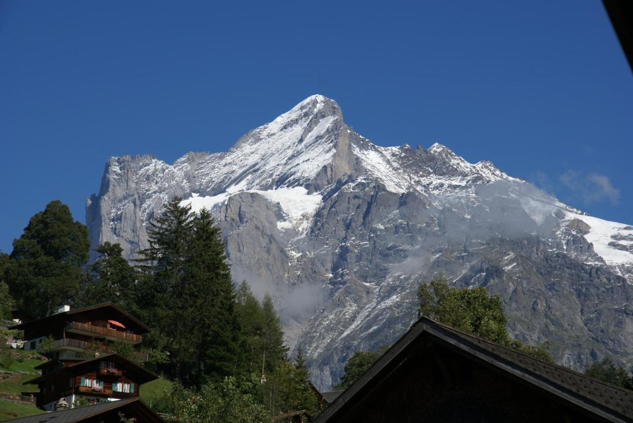 Apartment Bäreggblick - GRIWA RENT AG Grindelwald Exteriör bild